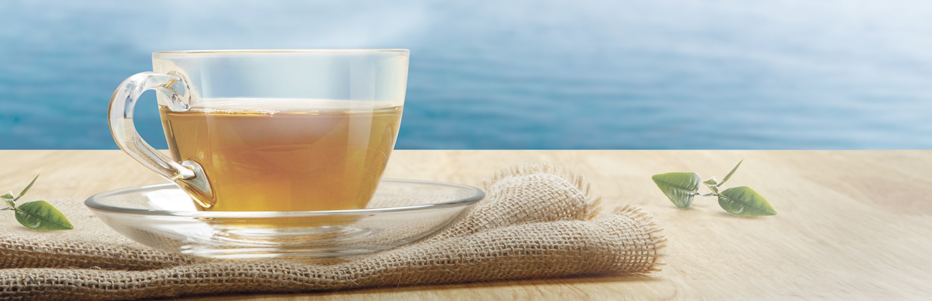 Les Infus'Océanes BIO